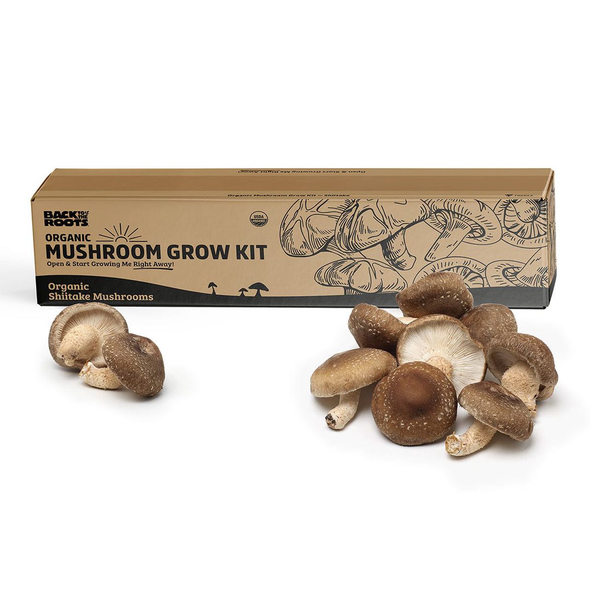 a pile of mushrooms in front of a cardboard box containing a mushroom grow kit